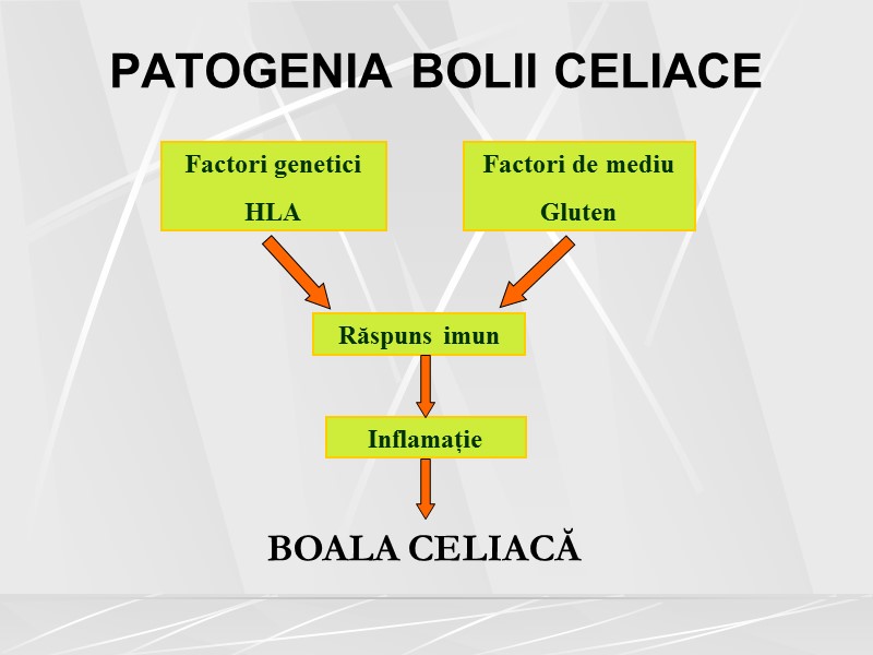 PATOGENIA BOLII CELIACE Factori genetici HLA Factori de mediu Gluten Răspuns imun Inflamație BOALA